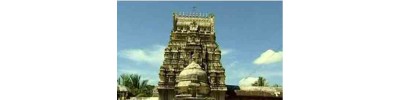 29. திருஅரிமேய விண்ணகரம்